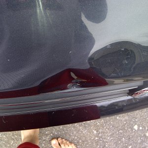 Bonnet Dent 3