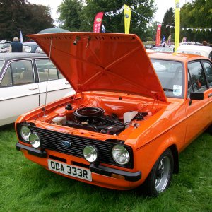 Orange Escort