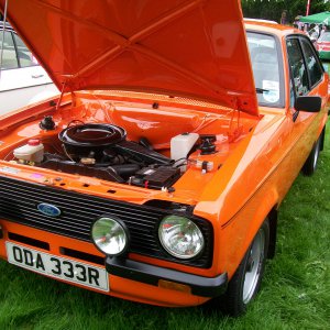 Orange Escort