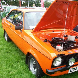 Orange Escort