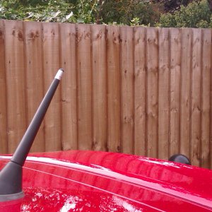 Fiat 500 Shorter Antenna