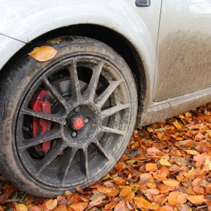 Muddy Abarth