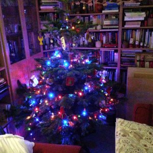 Christmas tree...